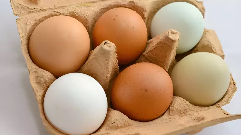 В чем разница между коричневыми и белыми яйцами